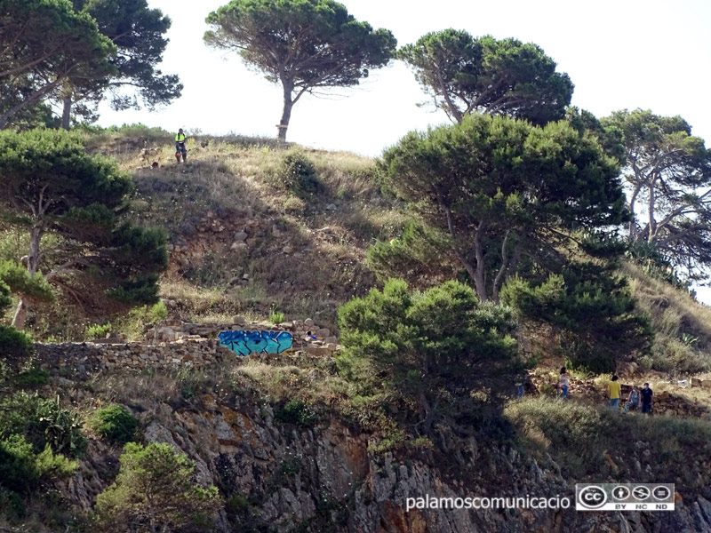 Visió des de la platja de les pintades descobertes ahir.