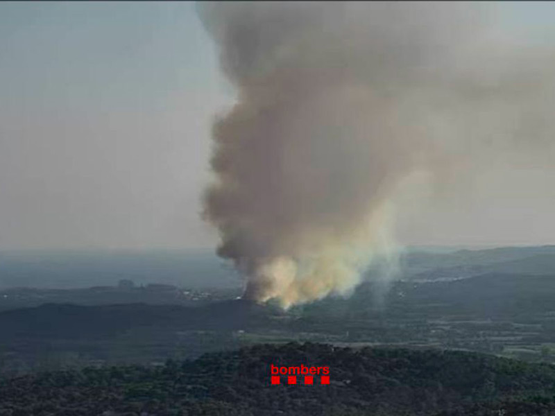 El foc s'ha detectat cap a 2/4 de 7 de la tarda i avança en direcció a Palafrugell. (Foto: Bombers Generalitat).