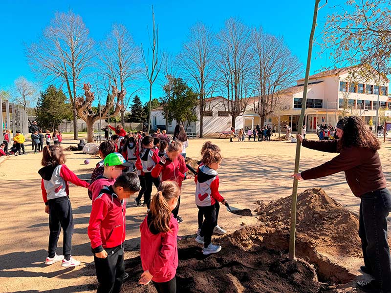 150 escolars de Palamós van participar la setmana passada a la Festa de l'Arbre. (Foto: Ajuntament de Palamós).