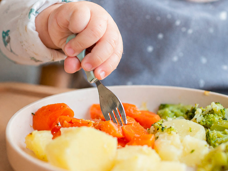 Revolució a la taula! arriba a les escoles públiques del Baix Empordà. (Foto: Generada amb IA - ChatGPT).