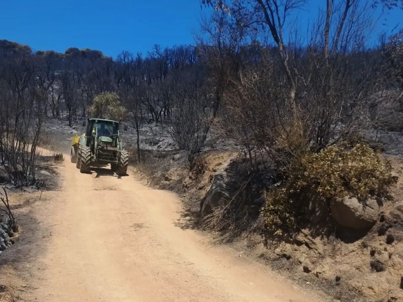 L'incendi es va donar per controlat ahir a la nit. (Foto: Ajuntament de Calonge i Sant Antoni).