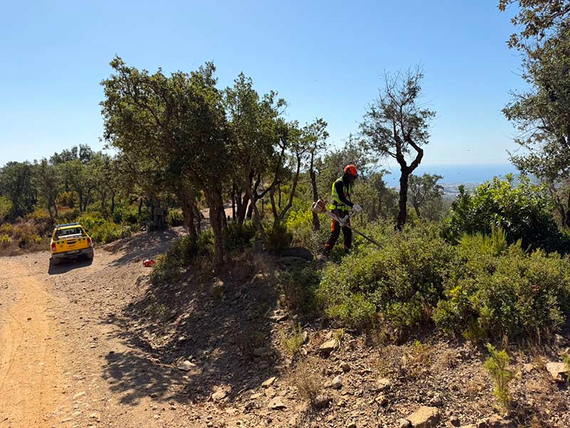 En marxa les tasques de prevenció d’incendis  a la zona forestal de Puig Cargol. (Foto: Ajuntament de Palamós).