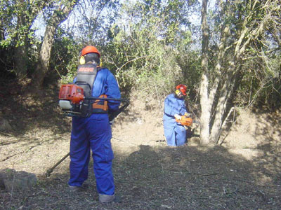 Operaris desbrossant bosc a Calonge