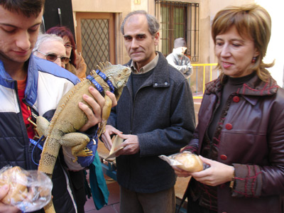 La benedicció va aplegar, fins i tot, una iguana