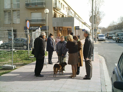 Opositors a la tala dels arbres, seguint els treballs