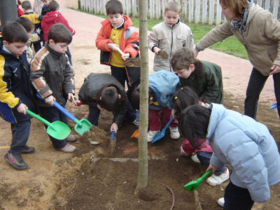 Els escolars de Palamós ja van plantar arbres, divendres passat, a la zona de Les Pites