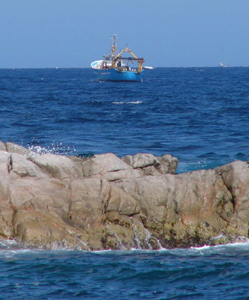 Un vaixell de pesca a prop de la costa