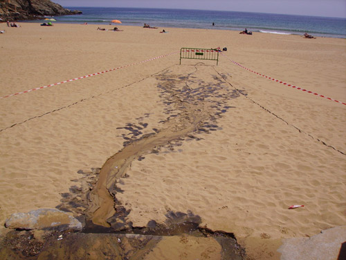 El tall de platja afectat pel vessament.