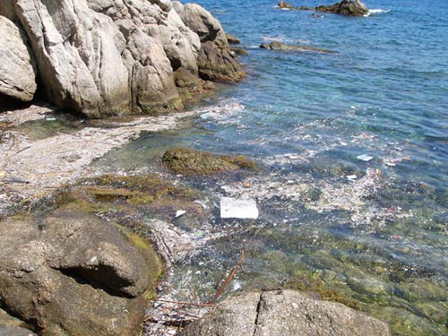 Acumulació de brutícia en una cala del PEIN Castell-Cap Roig, avui mateix.