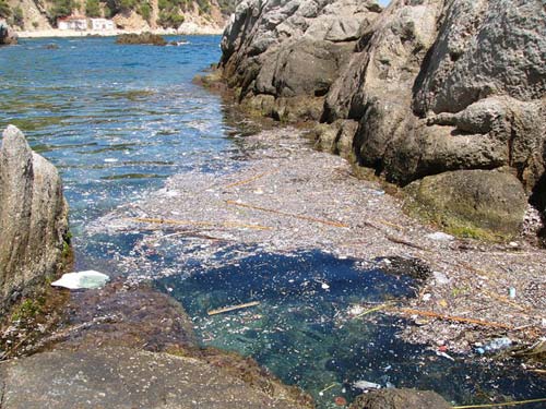 Una de les taques de residus aparegudes aquesta setmana davant del PEIN Castell-Cap Roig.
