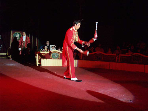 Un dels espectacles del circ Raluy.