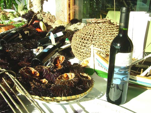 Eriços de mar a punt de ser consumits.