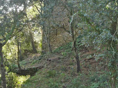Les restes del castell de Vila-romà, amagades entre el bosc.