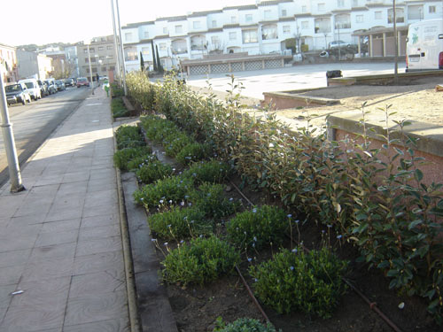 El nou enjardinament de la plaça.
