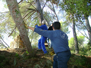 Imatge dels treballs de neteja que es van realitzar aquest cap de setmana als voltants del Castell de Vila-romà.