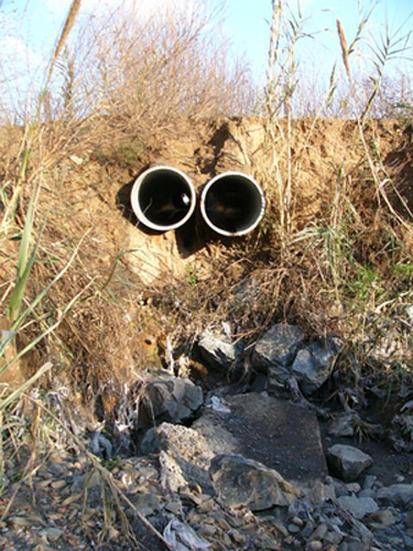 Els col.lectius ecologistes consideren que la depuradora de Castell està obsoleta.