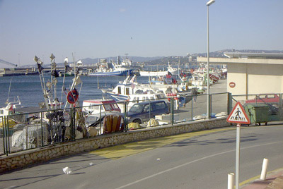 Embarcacions de pesca al port de Palamós.