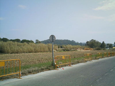 Terrenys al sector de La Pietat.