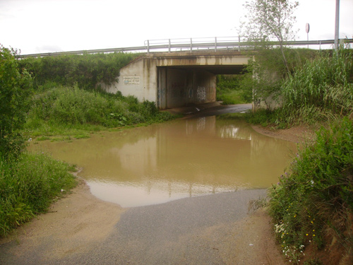 Aigua acumulada en un gual que travessa la riera Aubi, a Palamós.