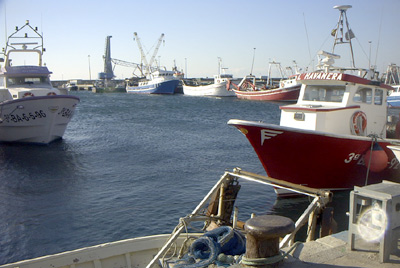 Embarcacions de pesca al port de Palamós, en una imatge d'arxiu.