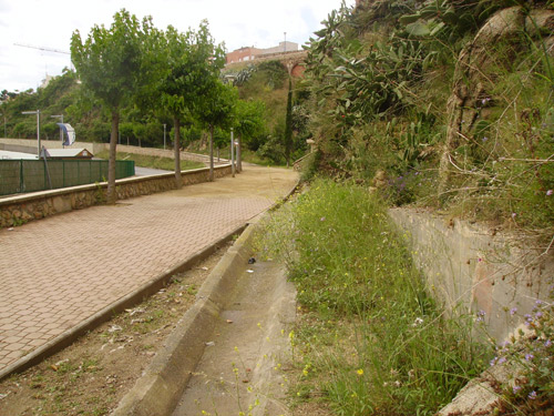 El camí que voreja el vial, a la zona del port Marina Palamós.
