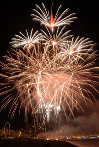 Focs artificials a la Festa Major de Palamós 2008. (Fotografia cedida per Josep   Lois).