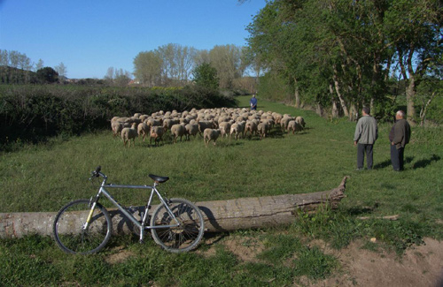 Un espai de la plana de l'Aubi, afectada per la futura via verda.