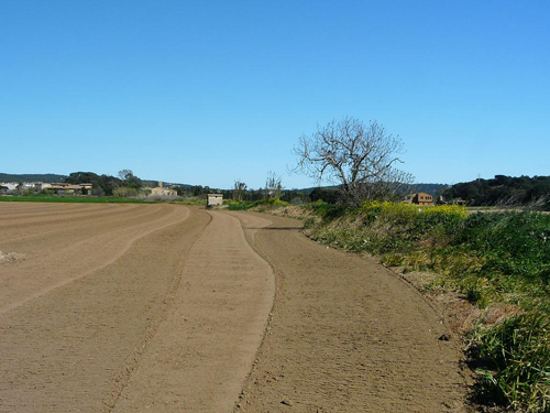 Un terreny agrícola a la plana de l'Aubi.