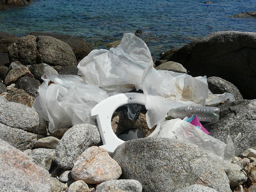 Brutícia recollida aquests dies a Cap de Planes, segons Salvem El Crit.