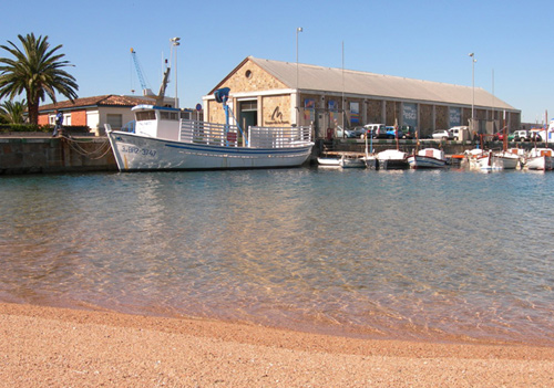 El Museu de la Pesca de Palamós.