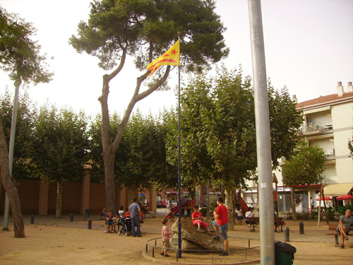 El pal i l'estelada col·locats aquesta tarda a la plaça dels Països Catalans.