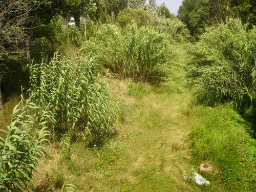 El darrer tram de la riera Aubi.