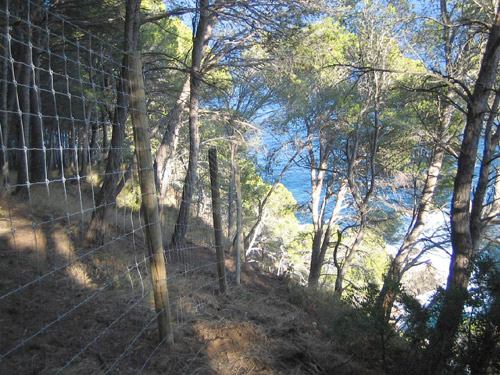 Un aspecte de la tanca que s'ha col·locat a Cap Roig.