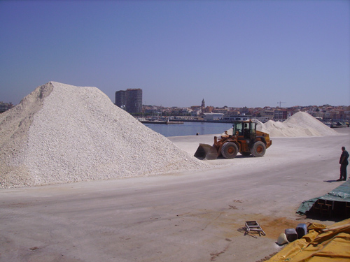 Imatge d'una actuació de descàrrega al moll comercial.
