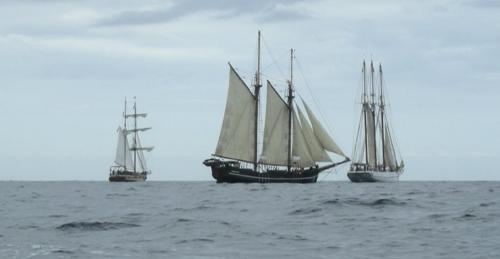 Alguns dels vaixells participants a 'Cent anys navegant per la Costa Brava'. (Fotografia cedida per La mar d'amics).