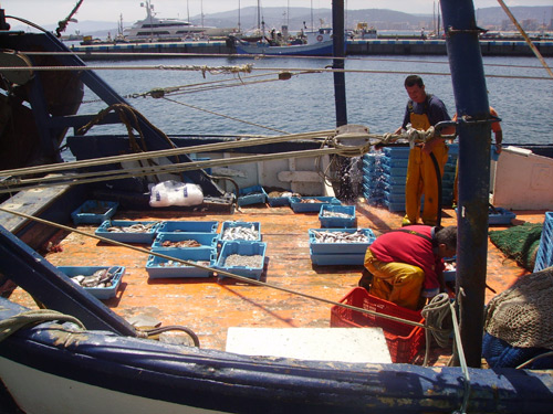 Pescadors al port de Palamós.