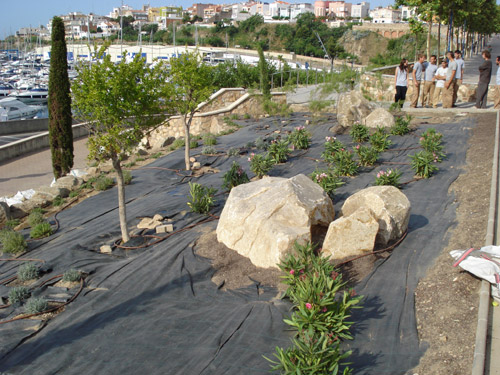 El nou espai enjardinat.