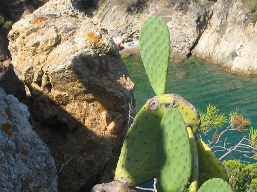 La roca inestable de la cala dels Corbs.
