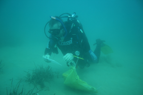 Un submarinista controlant una zona de posidònia.