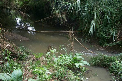 La neteja de rieres és una de les tasques de la brigada de medi natural.