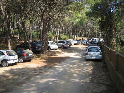 Vehicles aparcats al camí de cala Estreta, aquest darrer cap de setmana.