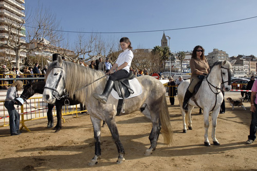 Benedicció d'animals a Palamós, en una imatge d'arxiu.
