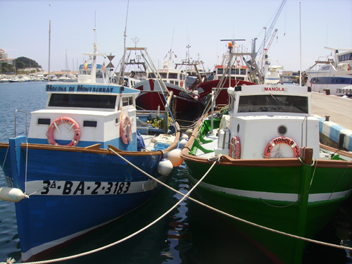 Embarcacions de pesca amarrades al port de Palamós.