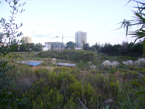 La zona del jaciment del Collet.