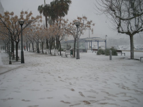 El passeig del Mar de Palamós, dilluns a la tarda.