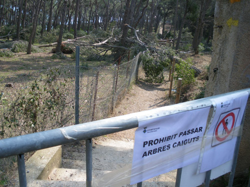 Accés a les escales de cala Estreta.