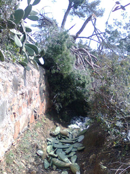 El camí de ronda de cala S'Alguer, aquest passat cap de setmana.