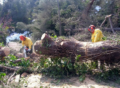 Voluntaris de l'ADF Gavarres-Marítima treballant en la reparació dels danys del temporal.