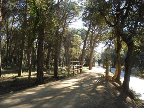 La via verda Palamós-Palafrugell.