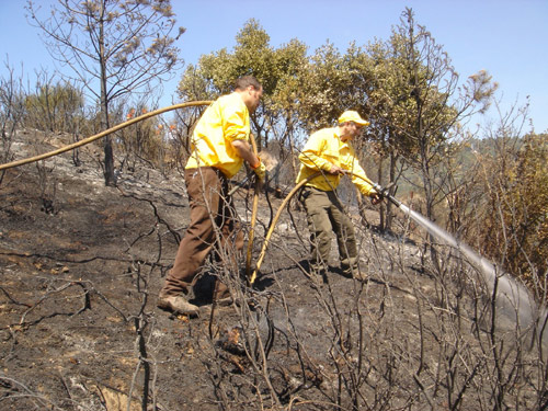 Efectius treballant en un incendi forestal.